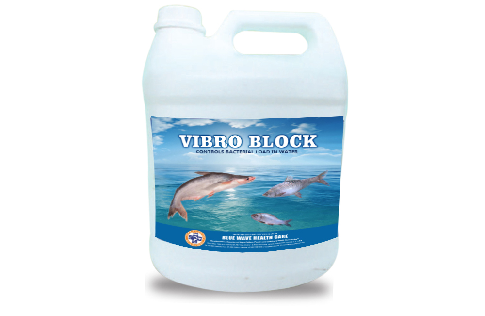 VIBRO BLOCK ( Controls Bacterial Load in Water)
